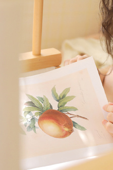 免费人与曽交视频观看